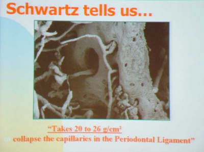 Dscf3 t3lhjc - Eugenol