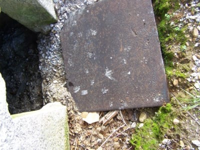 Empreintes2 d6madj - Eugenol