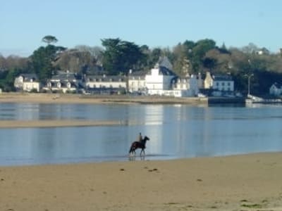 Ff4 pemcvm - Eugenol