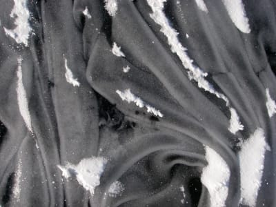 Imgp0131 hrxsk9 - Eugenol