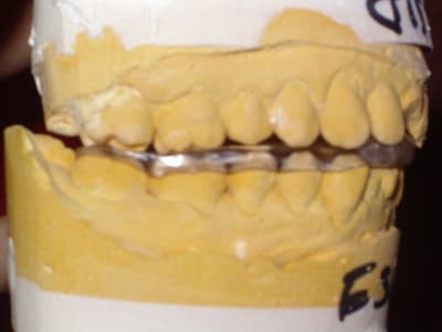 Imgp0643 lmwtkc - Eugenol