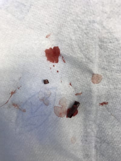 Img 0257 pajp0z - Eugenol