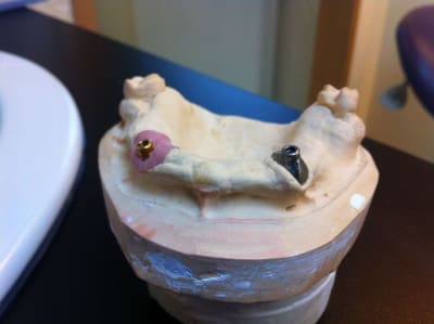 Img 0443 pkqbw7 - Eugenol