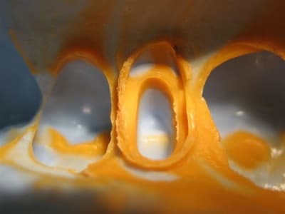 Img 1126 ggpulg - Eugenol