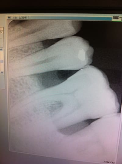 Img 1190 b0cqfi - Eugenol