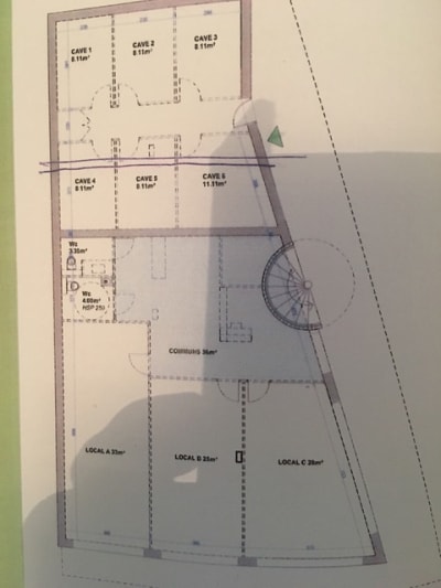 Img 1700 vhm9v7 - Eugenol