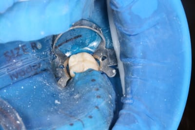 Img 1709 woduum - Eugenol