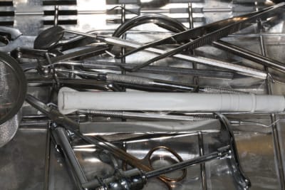 Img 1716 jilhai - Eugenol