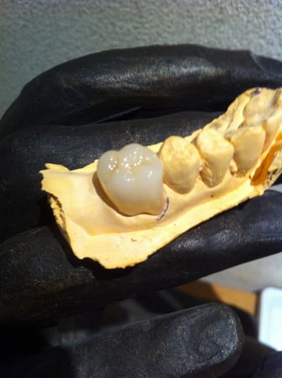 Img 1944 pjytac - Eugenol