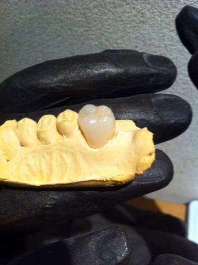 Img 1947 ztek6i - Eugenol