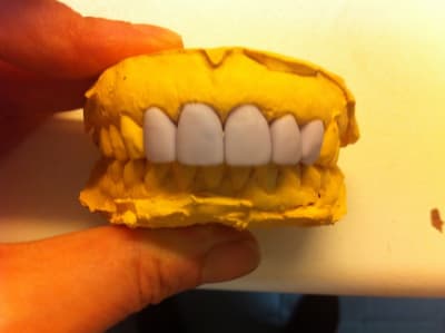 Img 1973 wd1pqb - Eugenol