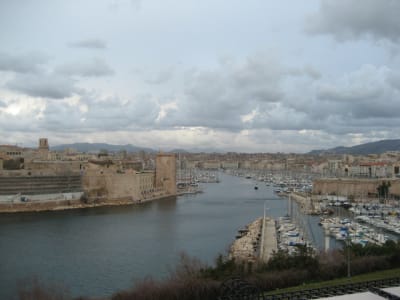 Img 2045 e5xlpg - Eugenol