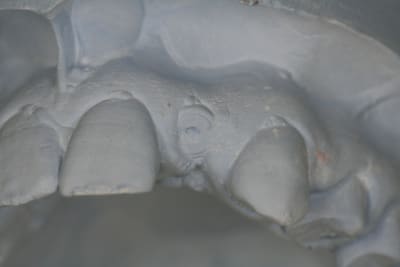 Img 2650 qmu4f2 - Eugenol