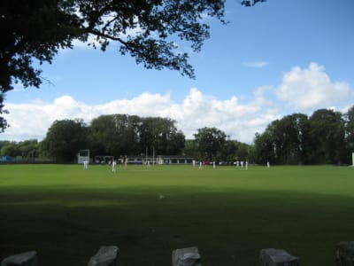 Img 2979 tmqnvf - Eugenol