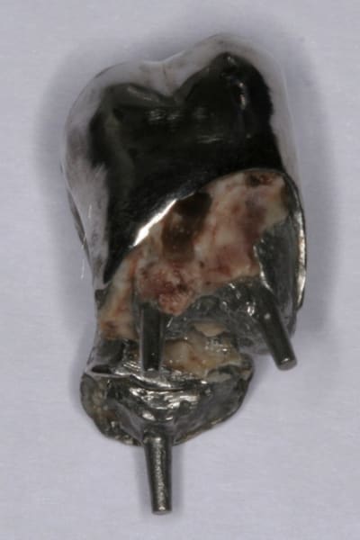 Img 3023 vtahmd - Eugenol