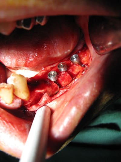 Img 3697 ttsop6 - Eugenol