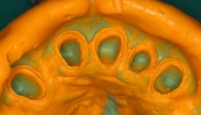 Img 5102 2 f0p15n - Eugenol