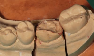 Img 5590 l9qskh - Eugenol