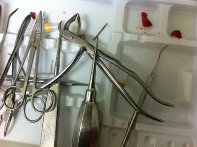 Img 6032 rcr9jq - Eugenol