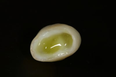 Img 6827 e2vt8p - Eugenol