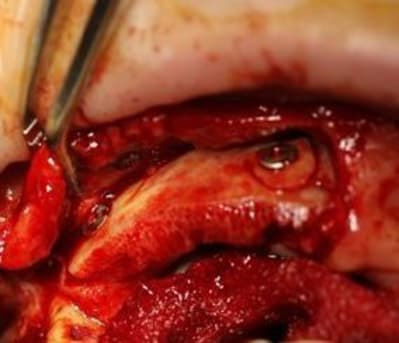 Img 7151 jkvorj - Eugenol