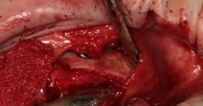 Img 7167 idwtsq - Eugenol