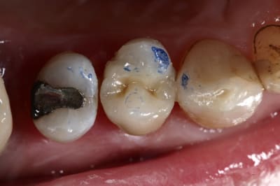 Img 8469 wbbrjv - Eugenol