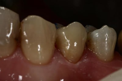 Img 8471  large  ksxxmy - Eugenol