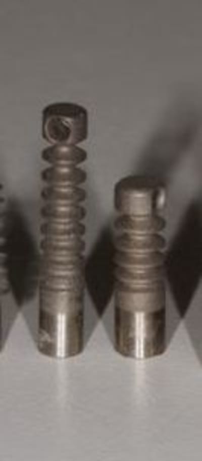 Img 8739r lnc0zw - Eugenol