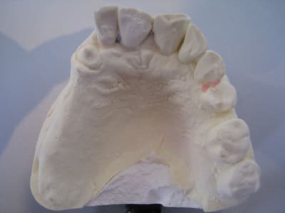 Img 9510 lstegh - Eugenol