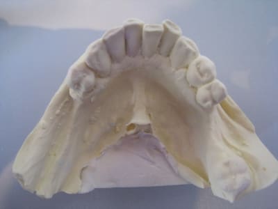 Img 9511 vvcyop - Eugenol