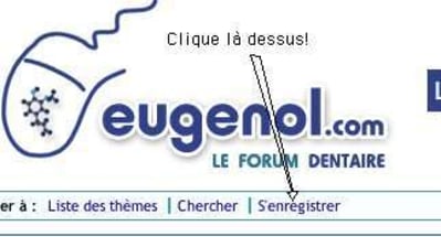 Image 1 bgap2b - Eugenol