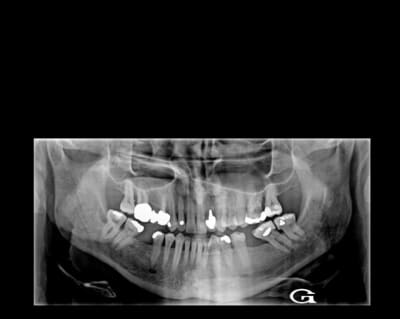 Img7122 sjlyou - Eugenol