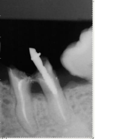 Jpp36 hj1cvn - Eugenol
