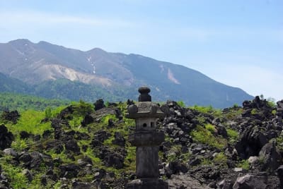 Kn  11  yrhljk - Eugenol