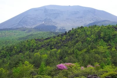 Ktw  10  jg9hrf - Eugenol