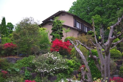 Kw  1  atst52 - Eugenol