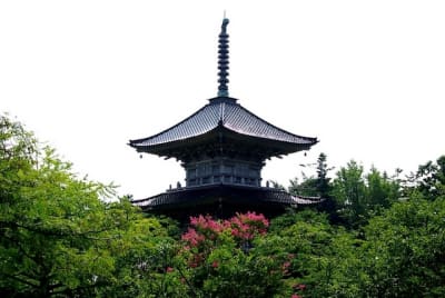 Kw  5  yczdme - Eugenol