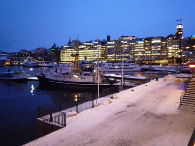 L1000358 nvbwwh - Eugenol