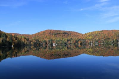 L automne au qu bec e09djp - Eugenol