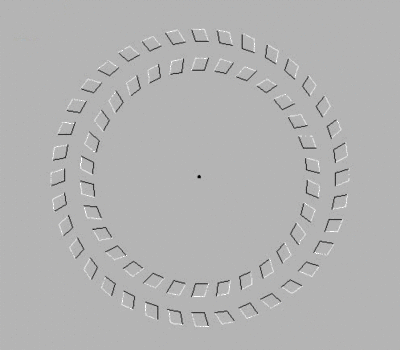 La roue pette eqr6h4 - Eugenol