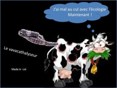 Le vavacathalyseur vfzif6 - Eugenol