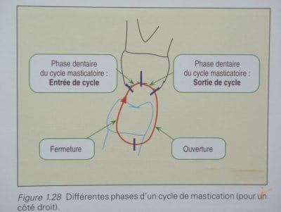 Legall lauret11 ovfcq9 - Eugenol