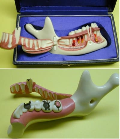 Mandi1 cloyxv - Eugenol