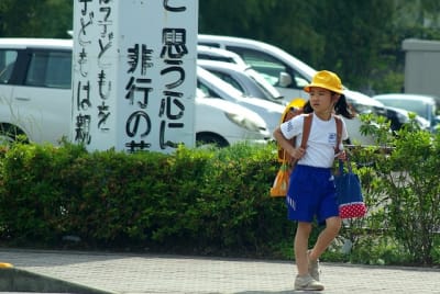 Ngn  11  irzdnl - Eugenol