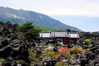 Ntk  1  bmqtiu - Eugenol