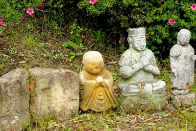 Ntk  9  tk3jua - Eugenol