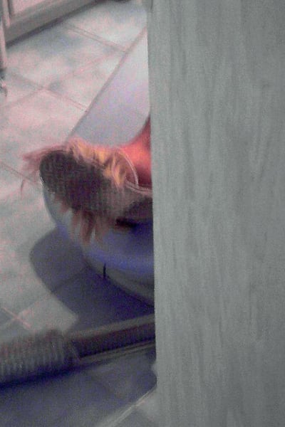 P090710 18 - Eugenol