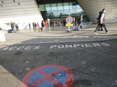 P1010009 svbaws - Eugenol