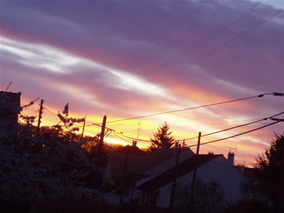 P1010297 bis kz6hsb - Eugenol